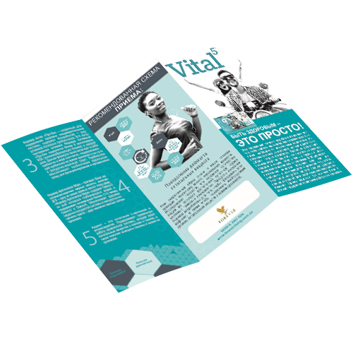 Flyer "Vital5"